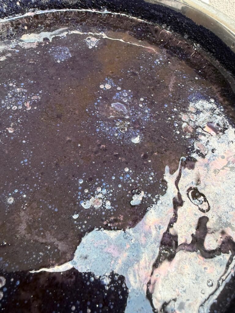 Indigo vat with surface bloom
